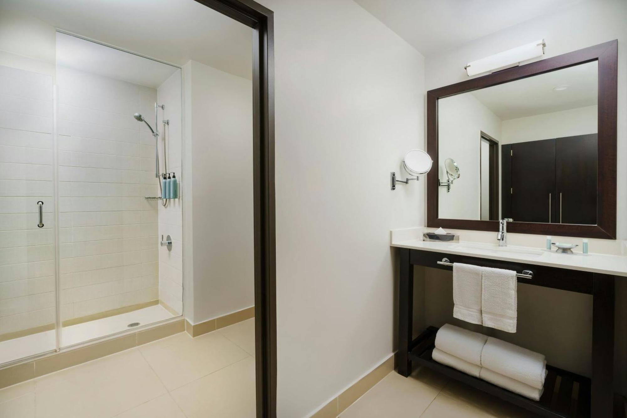 King Suite Sofa Bed